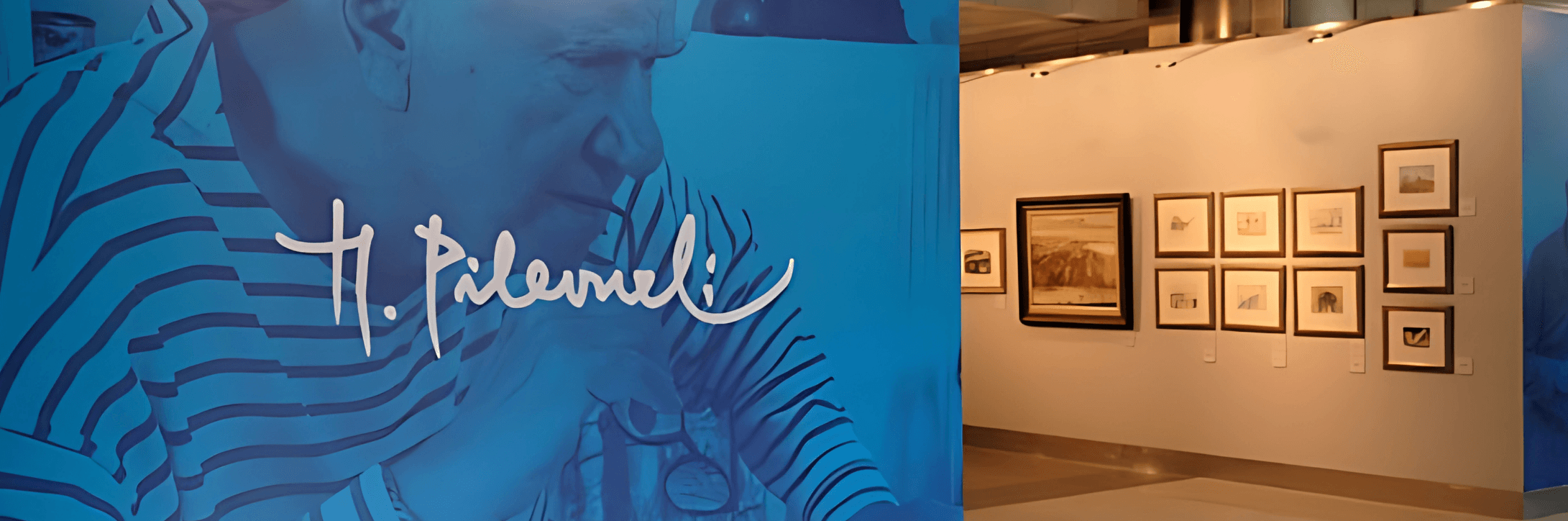 Pilevneli Exhibition